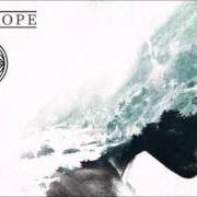 Il testo FORGIVE di FORT HOPE è presente anche nell'album The flood flowers, vol. 1 (2017)