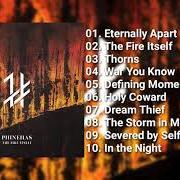 Il testo SEVERED BY SELF BETRAYAL di PHINEHAS è presente anche nell'album The fire itself (2021)