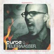 Il testo DOPPELTES RISIKO di CURSE è presente anche nell'album Feuerwasser15 (2015)