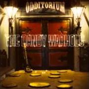 Il testo THERE IS ONLY THIS TIME di THE DANDY WARHOLS è presente anche nell'album Odditorium or warlords of mars (2005)
