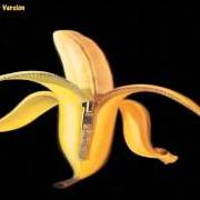 Il testo HIT ROCK BOTTOM di THE DANDY WARHOLS è presente anche nell'album Welcome to the monkey house (2003)