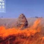 Il testo GREW UP AT MIDNIGHT dei THE MACCABEES è presente anche nell'album Given to the wild (2011)