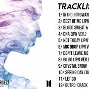 Il testo INTRO: RINGWANDERUNG di BTS è presente anche nell'album Face yourself (2018)