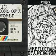 Il testo DENATURALIZING LEADERS dei CYNIC è presente anche nell'album Reflections of a dying world - demo (1989)