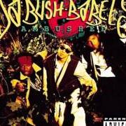 Il testo ORIGINAL dei DA BUSH BABEES è presente anche nell'album Ambushed (1994)
