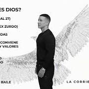 Il testo LEB di DADDY YANKEE è presente anche nell'album Lamento en baile (2025)