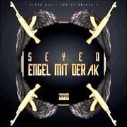 Il testo BESSERE WELT SLUT di SEYED è presente anche nell'album Engel mit der ak (2016)