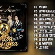 Il testo SOLO LOS TONTOS di ALTA CONSIGNA è presente anche nell'album Así naci (2016)