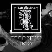 Il testo GEMINI di TASH SULTANA è presente anche nell'album Notion (2017)