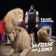 Il testo LA SACEM DE FLORENT PAGNY di KALASH CRIMINEL è presente anche nell'album La fosse aux lions (2018)