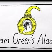 Il testo WHAT IS DYING LIKE? di ADAM GREEN è presente anche nell'album Aladdin (2016)