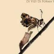 Il testo MAMA M'AMA di DARGEN D'AMICO è presente anche nell'album Di vizi di forma virtù (2008)