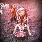 Il testo HELL YEAH di RAG'N'BONE MAN è presente anche nell'album Wolves (2014)