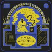 Il testo RATTLESNAKE di KING GIZZARD & THE LIZARD WIZARD è presente anche nell'album Flying microtonal banana (2017)