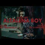 Il testo DINOSAURI di LUCIO CORSI è presente anche nell'album Altalena boy / vetulonia dakar (2015)