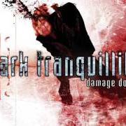 Il testo THE ENEMY dei DARK TRANQUILLITY è presente anche nell'album Damage done (2002)