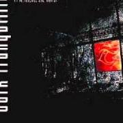 Il testo PUNISH MY HEAVEN dei DARK TRANQUILLITY è presente anche nell'album Yesterworld (2009)