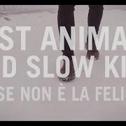 Il testo GIOVANE dei FAST ANIMALS AND SLOW KIDS è presente anche nell'album Forse non e' la felicità (2017)