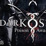 Il testo NO PROMISE IN THE HEAVENS dei DARKSEED è presente anche nell'album Poison awaits (2010)