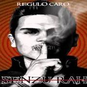 Il testo MI MÚSICA ES MI VIDA di REGULO CARO è presente anche nell'album Senzu-rah (2014)