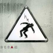 Il testo WISHING WELL di DAVID LYNCH è presente anche nell'album The big dream (2013)