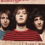 Il testo RAGAZZO DI STRADA dei BASTARD SONS OF DIONISO è presente anche nell'album L'amor carnale (2009)