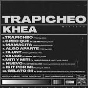 Il testo ALGO APARTE di KHEA è presente anche nell'album Trapicheo (mixtape) (2020)