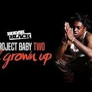 Il testo ABOUT YOU WITHOUT YOU di KODAK BLACK è presente anche nell'album Project baby 2: all grown up (deluxe) (2017)