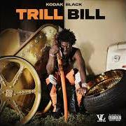 Il testo BURN IT UP di KODAK BLACK è presente anche nell'album Trill bill (2024)