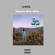 Il testo PARTY NO DEY STOP di ADEKUNLE GOLD è presente anche nell'album Tequila ever after (2023)