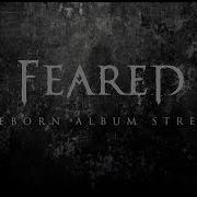 Feared Feared
