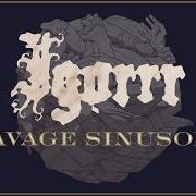 Il testo IEUD di IGORRR è presente anche nell'album Savage sinusoid (2017)