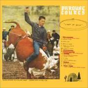 Il testo BORROWED TIME di PARQUET COURTS è presente anche nell'album Light up gold (2013)