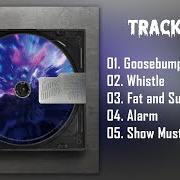 Il testo ALARM di ONF è presente anche nell'album Goosebumps (2021)