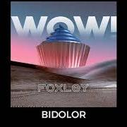 Il testo BIDOLOR di FOXLEY è presente anche nell'album Wow! (2018)