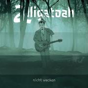 Il testo NICHT WECKEN (HEUTE) di ALLIGATOAH è presente anche nell'album Nicht wecken (2019)