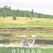 Il testo SETTLEMENTS degli ALASKA è presente anche nell'album Palcaptain - ep (2012)