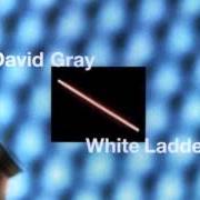 Il testo THIS YEARS LOVE di DAVID GRAY è presente anche nell'album White ladder (1998)