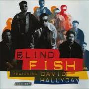 Il testo ENDLESS SUMMER di DAVID HALLYDAY è presente anche nell'album 2000 bbf (1994)
