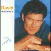 Il testo ROCKIN' THE NIGHT AWAY di DAVID HASSELHOFF è presente anche nell'album Du (1994)