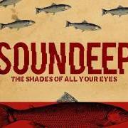 Il testo TEARDROPS dei SOUNDEEP è presente anche nell'album The shades of all your eyes (2018)