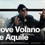 Il testo NO LOVE di LUCHE è presente anche nell'album Dove volano le aquile (2022)