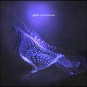 Il testo HEART BEATING di AGORIA è presente anche nell'album Impermanence (2011)