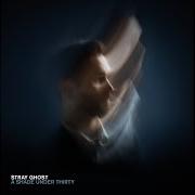 Il testo SONATA FOR THE HOPE DEPRIVED di STRAY GHOST è presente anche nell'album A shade under thirty (2018)