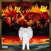 Fell in love in brasil