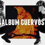 Il testo VAMPIROS di DUKI & C.R.O è presente anche nell'album Cuervos (2019)