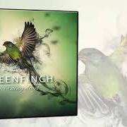 Il testo IN THE SHALLOW di GREENFINCH è presente anche nell'album From soul to souls (2019)