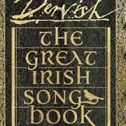 Il testo THE RAMBLING IRISHMAN (FEAT. CATHY JORDAN) dei DERVISH è presente anche nell'album The great irish songbook (2019)