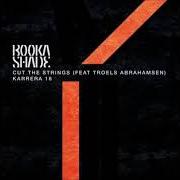 Il testo CONFESSIONS dei BOOKA SHADE è presente anche nell'album Cut the strings (2018)