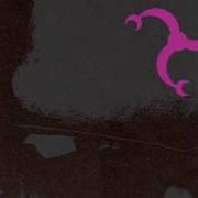 Il testo START THE PARTY dei THE DIRTBOMBS è presente anche nell'album Dangerous magical noise (2003)
